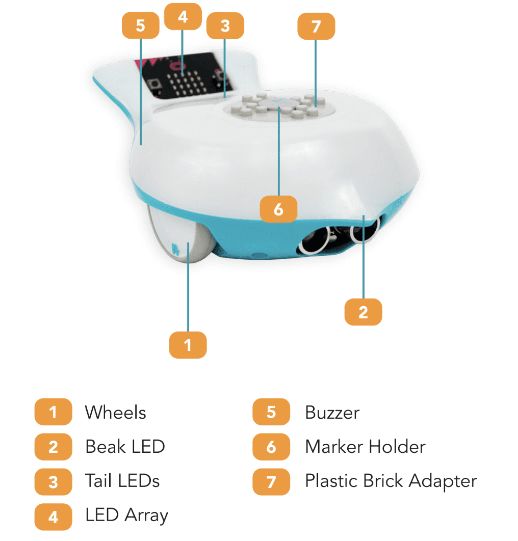 Finch robot 2.0 with 7 output features highlighted: the wheels, the beak LED, the tail LEDs, the LED array, the buzzer, the marker holder, and the plastic brick adapter.