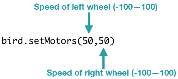 bird.setMotors(50,50) 
The setMotors() function takes two parameters, both of which must be between 0 and 100. The first parameter is the speed of the lift wheel, and the second parameter is the speed of the right wheel.