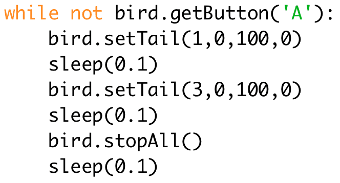while not bird.getButton('A'): # Repeat until button A is pressed 
bird.setTail(1,0,100,0) 
sleep(0.1) 
bird.setTail(3,0,100,0) 
sleep(0.1) 
bird.stopAll() 
sleep(0.1)